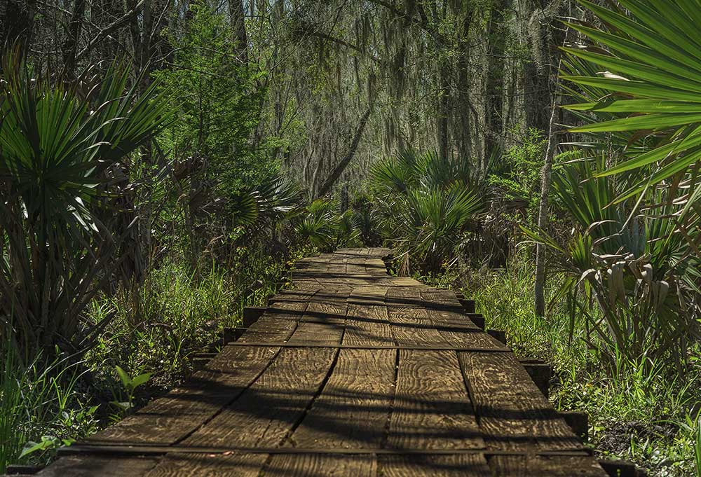 port-gallery-feat-img-Big-Cypress-RV-Hm2-1000×681px